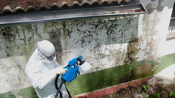 Clearance testing in Kingsley